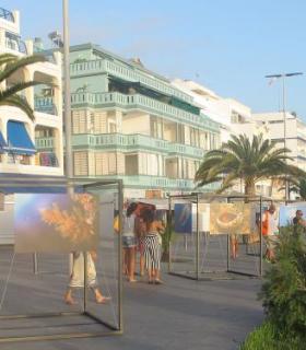 Comienza el primer Festival del Mar de La Palma con exposiciones, charlas y talleres en Puerto Naos. · foto 6