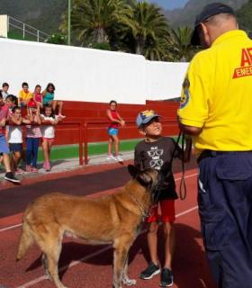El Cabildo de La Palma clausura con éxito la primera edición del Campus Urbano de verano. · foto 1