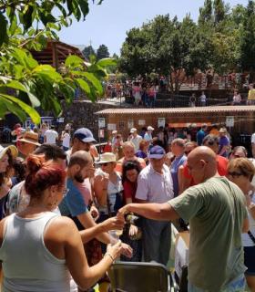 Éxito de la Feria de Artesanía de Pinolere. · foto 5