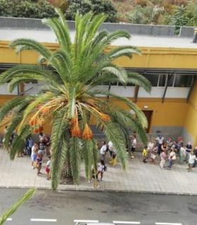Éxito de la Feria de Artesanía de Pinolere. · foto 2