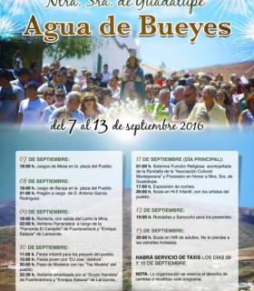 El locutor Tony García pregonero de las Fiestas de Agua de Bueyes 2016. · foto 2