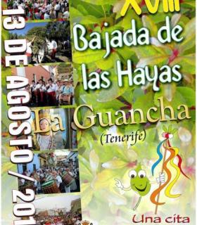 XVIII edición de la bajada de las Hayas, este sábado en La Guancha. · foto 1