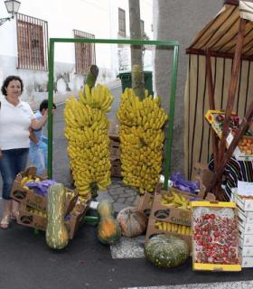 El casco de Guía se llena este domingo de artesanía por la XXXV edición de su feria. · foto 3