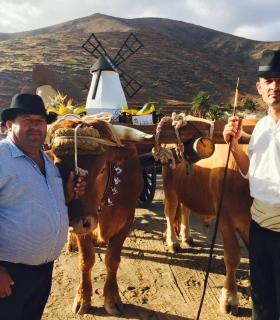 Antigua participa con la única carreta tirada por vacas en la Romería a la Peña. · foto 1