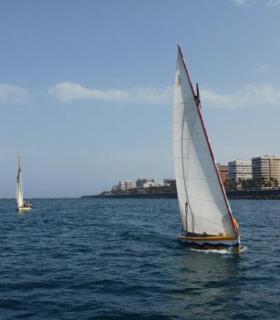 El Ayuntamiento de Las Palmas de G.C. forma a cerca de un centenar jóvenes del municipio como futuros tripulantes de Vela Latina. · foto 3