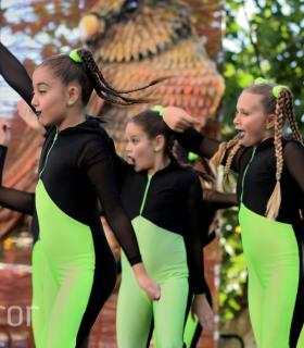 Gala Infantil. Elección Princesa 2016. Tacoronte · foto 41