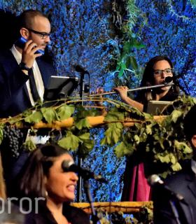 Gala de la Vendimia 2016. Fiestas del Cristo de Tacoronte · foto 70
