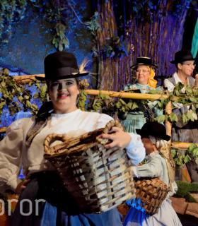 Gala de la Vendimia 2016. Fiestas del Cristo de Tacoronte · foto 45