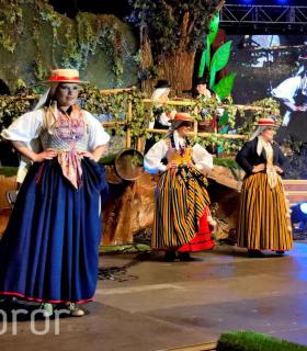 Gala de la Vendimia 2016. Fiestas del Cristo de Tacoronte · foto 62