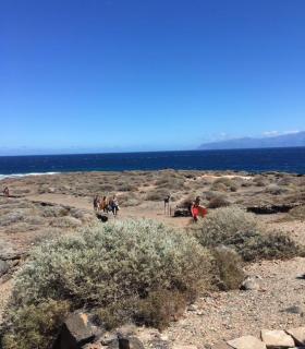 Concluye con éxito el primer encuentro de bodyboard de San Sebastián de La Gomera. · foto 1
