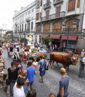 Vegueta se llena de tradición y folclore con la celebración de la romería del Rosario. · foto 4