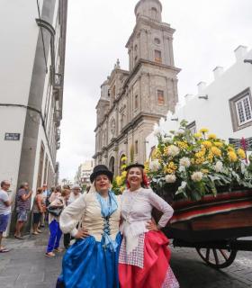 Vegueta se llena de tradición y folclore con la celebración de la romería del Rosario. · foto 7