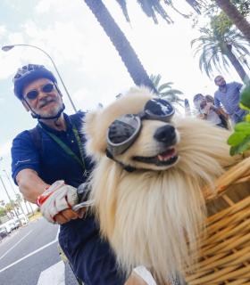 La Fiesta de la Bicicleta congrega a miles de personas en las calles en el cierre festivo de la Semana Europea de la Movilidad 2016. · foto 4