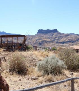 El XXVII Encuentro de Veneguera recupera su origen cultural, solidario y medioambiental. · foto 4