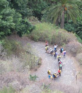 Los Realejos ya ejerce el “turismo accesible y universal”. · foto 2