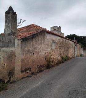 El gobierno local de Buenavista del Norte traslada al Director General de Patrimonio su preocupación por el estado de la Casona de los Ruices. · foto 1