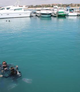 Los buceadores se comprometen en la limpieza de los fondos del muelle del Castillo en Antigua. · foto 2