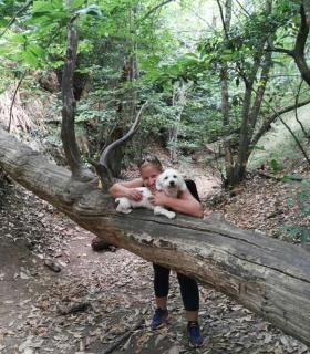 El Ayuntamiento elige la foto Enko, Osorio y yo como ganadora del III Concurso de Fotografía De vacaciones con mi perro. · foto 5