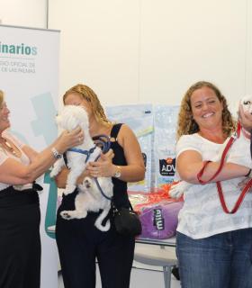 El Ayuntamiento elige la foto Enko, Osorio y yo como ganadora del III Concurso de Fotografía De vacaciones con mi perro. · foto 4