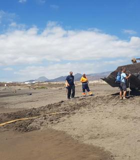 Un delfín mular 2,55 metros aparece varado en la costa granadillera. · foto 1