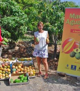 El Ayuntamiento de Mogán invita a probar la fruta de mayor calidad en la I Feria del Mango y del Aguacate de Verano. · foto 3