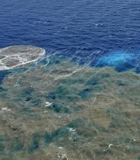 El Hierro conmemora el quinto aniversario de la erupción submarina. · foto 1
