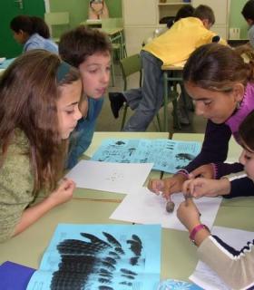 Más de 1.000 alumnos de La Orotava se benefician de las actividades medioambientales organizadas por el CEAM. · foto 2