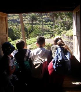 Más de 1.000 alumnos de La Orotava se benefician de las actividades medioambientales organizadas por el CEAM. · foto 7