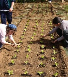 Más de 1.000 alumnos de La Orotava se benefician de las actividades medioambientales organizadas por el CEAM. · foto 1
