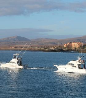 El XIII Torneo de Pesca de Altura Puerto Castillo entrega cerca de 6.000 euros en premios · foto 2