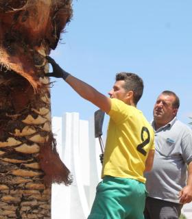 Limpieza y embellecimiento de calles y plazas de Antigua. · foto 5