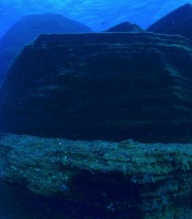 20 años promocionando los fondos marinos de El Hierro. · foto 1