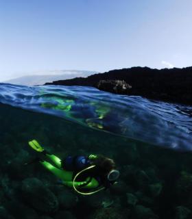 20 años promocionando los fondos marinos de El Hierro. · foto 2