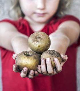 Beatriz Castillo, ganadora del IV Concurso de Fotografía la Manzana Reineta de Tenerife. · foto 3