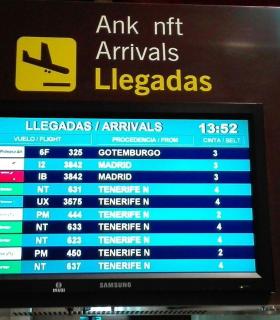 El aeropuerto de La Palma recibe el primer vuelo procedente de Suecia. · foto 2