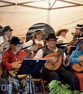1er Baile de Taifa. A.F. entre edades Tacoronte. 22 de Octubre de 2016 · foto 54