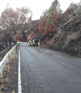 La borrasca deja más de 30 litros en Puntagorda y pequeñas incidencias en las carreteras de La Palma. · foto 7