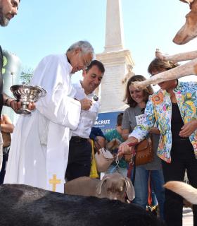 Santa Cruz de Tenerife celebra con gran afluencia de público el VII Día de los Animales. · foto 5