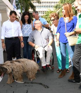Santa Cruz de Tenerife celebra con gran afluencia de público el VII Día de los Animales. · foto 4