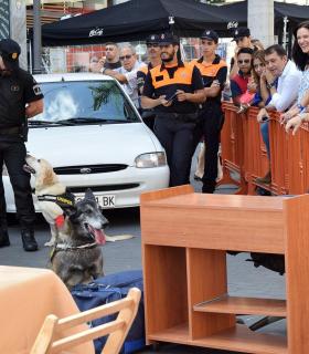 Santa Cruz de Tenerife celebra con gran afluencia de público el VII Día de los Animales. · foto 6