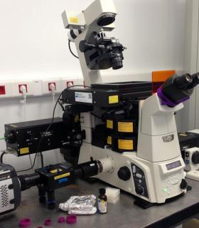 La ULL incorpora los primeros microscopios de súper resolución de Canarias. · foto 1