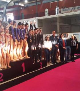 Gran derroche de originalidad y deportividad en el Campeonato de Canarias de Gimnasia Rítmica en Granadilla · foto 4