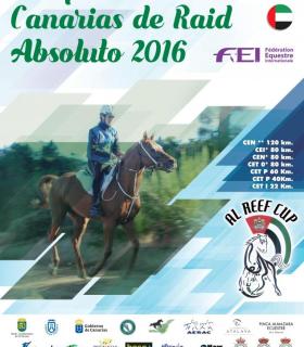 El Rosario acoge el Campeonato de Canarias de Raid Hípico, que reunirá a medio centenar de los mejores jinetes del Archipiélago. · foto 1