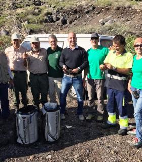 El Cabildo de El Hierro ha soltado 46 ejemplares de Lagarto Gigante en su hábitat natural · foto 1