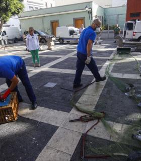 El Ayuntamiento de Las Palmas de G.C captura a más de 11.000 palomas dentro de las campañas de control demográfico de aves en la ciudad. · foto 1