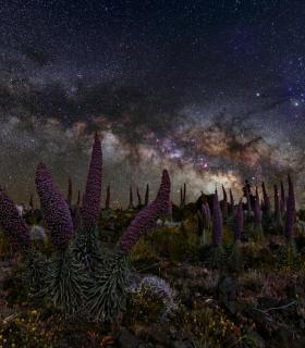 Gerald Rhemann logra el primer premio del octavo Concurso Internacional de Astrofotografía del Cabildo de La Palma. · foto 1