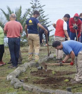 Tacoronte celebra el Día del Árbol Canario con la suelta de un búho chico y la repoblación de un jardín municipal. · foto 1