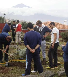 Tacoronte celebra el Día del Árbol Canario con la suelta de un búho chico y la repoblación de un jardín municipal. · foto 2