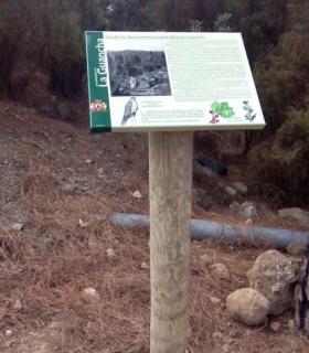 La Ruta Paisajes del Agua de La Guancha ya cuenta con señalización. · foto 1