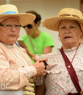 Fotografías del Martes de Tradiciones. 13 de Septiembre de 2016. Tacoronte · foto 4